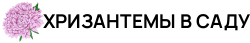 dark logo